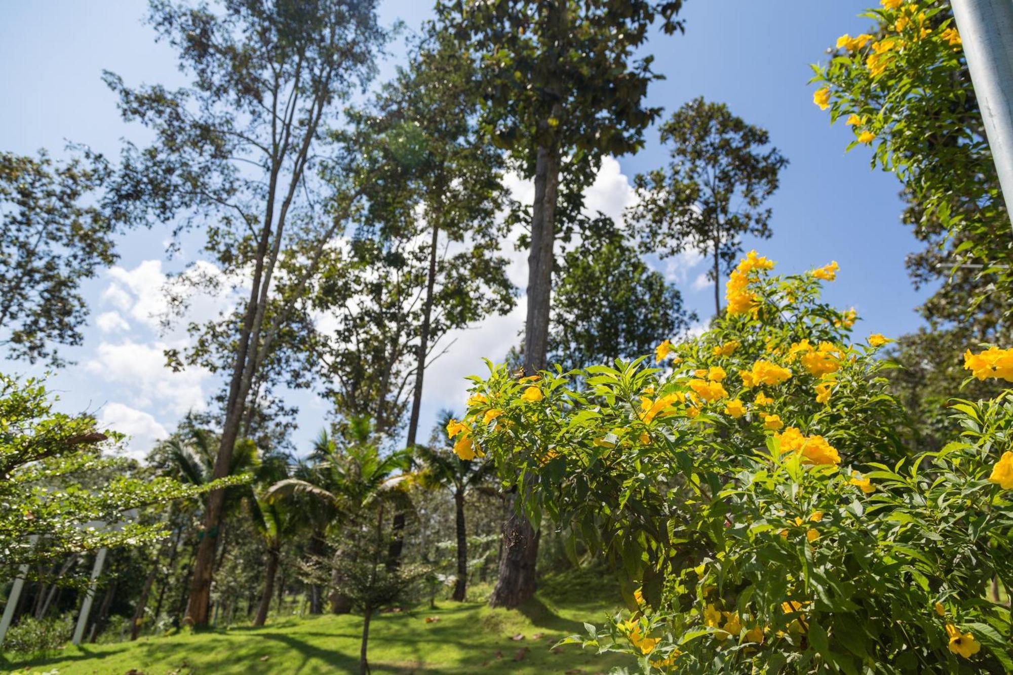 Отель Phu Pha View Doi Samoeng Экстерьер фото
